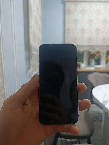 iphone pro: IPhone 13 Pro, 256 ГБ, Sierra Blue, Чехол — 1