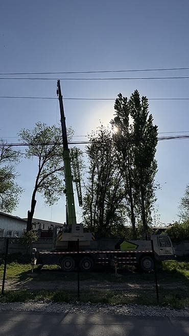 Услуги автокрана: Стрела 41 м, 25 т — 2