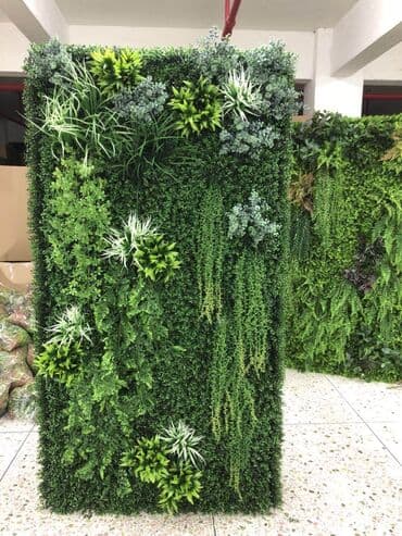 искусственные растения: Искусственные растения разных видов для уютного интерьера. Возможны — 5