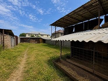 арча бешик 1: 7 соток, Бизнес үчүн, Кызыл китеп, Сатып алуу-сатуу келишими — 3