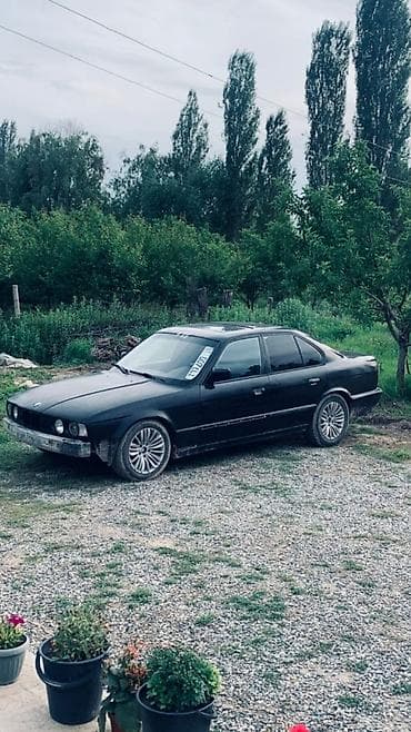 удаление сажевого фильтра цена: BMW 5 series: 1991 г., 2.5 л, Механика, Бензин, Седан — 4