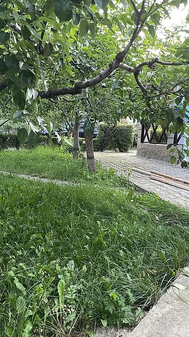 огненный шар: Гостевой дом на Иссык-Куле, чолпон ата, Чолпон-Ата, 10+ мест, На месяц — 2