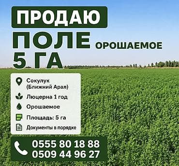 500 соток, Для сельского хозяйства, Договор купли-продажи