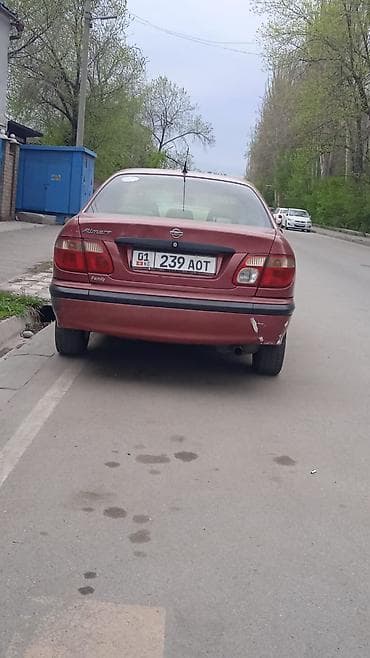 gilera runner: Nissan Almera: 2001 г., 1.5 л, Механика, Седан — 2