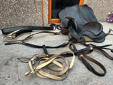 Спортивное питание: Другое для спорта и отдыха — 2