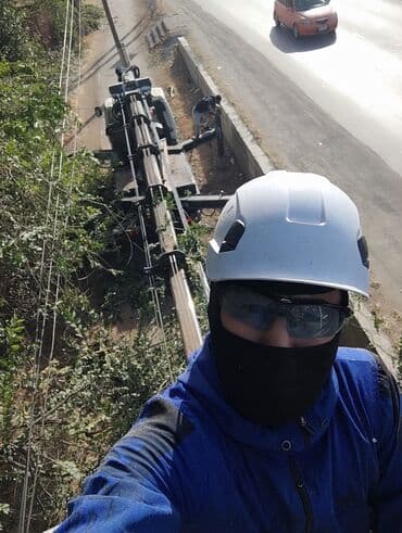 леса корейские: СПИЛ ДЕРЕВА — 2