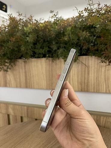 iphone 14 pro max: IPhone 16 Pro, 256 ГБ, цвет белый (корпус светлый), в комплекте — 5