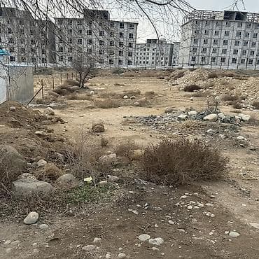 участок чоң сары ой: 10 соток, Кызыл китеп — 3