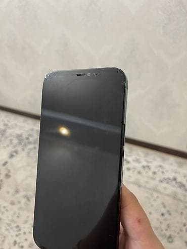 IPhone 12 Pro Max, Pacific Blue, Защитное стекло, 100 %