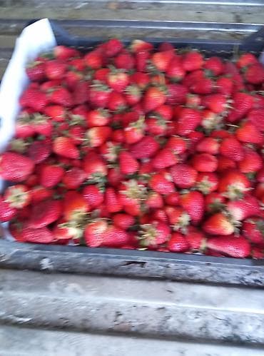 мясо с доставкой бишкек: Клубника — 1