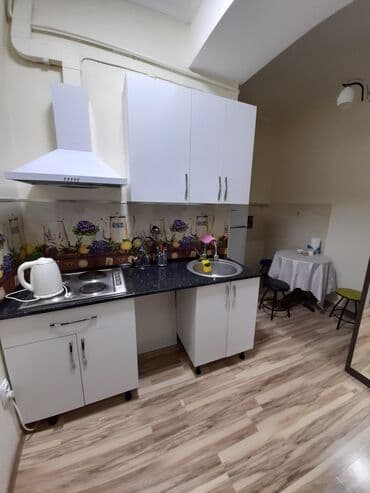 суточные квартиры бишкек филармония: 1 комната, Банные принадлежности, Кондиционер, Круглосуточное заселение — 3