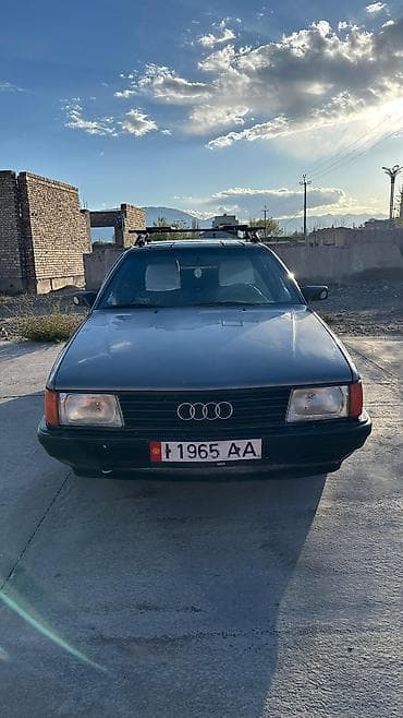 ауди в караколе: Audi 100: 1986 г. — 3