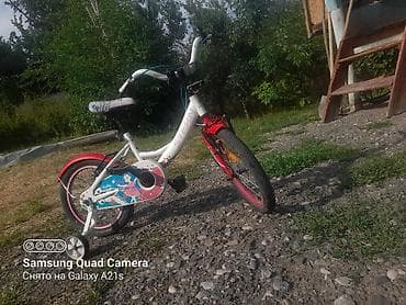 детские обуви в бишкеке: Детский велосипед, 2-колесный, 4 - 6 лет, Для девочки, Б/у — 4