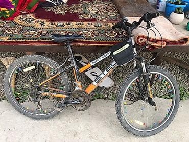 Велосипеддер: Тоо велосипеди, Stels, Велосипед алкагы S (145 - 165 см), Болот — 2