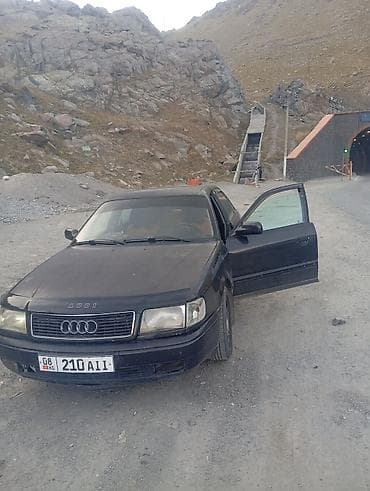 двер на ауди: Audi 100: 1991 г., 2.8 л, Механика, Газ, Седан — 7