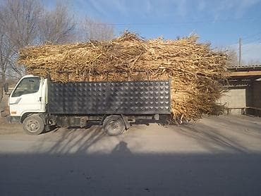 мотор тайга: Жүк ташуучу унаа, Hyundai — 4