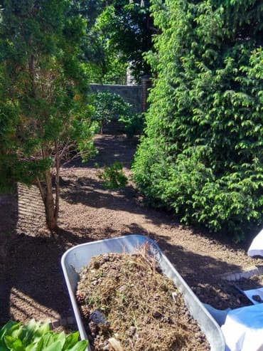 работу разнорабочий: Пилю деревья, дрова, выкорчевываю пни, земляные работы, перекопка — 6