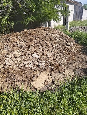 семена расторопши: Удобрение — 3