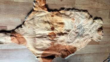 дополнительные приборы: Продаю кожу В отличном состоянии Тел 0.55. 9. 3. 2. 0. 5. 3. 1 Есть — 4