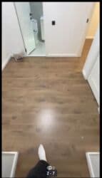 продаю или меняю на: 1 комната, 40 м², Элитка — 4