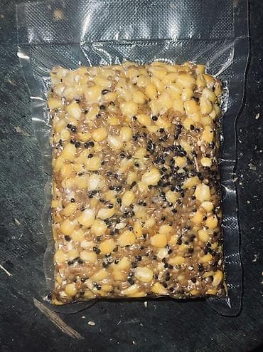 рыба копченая: Корм для ловли трофейного Карпа, Амура Пьяная кукуруза 1кг 160 сом — 2