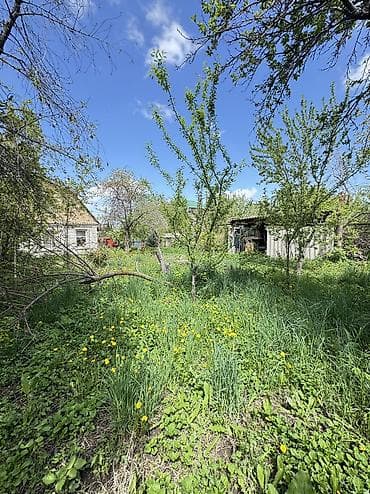 цо солнышко: 🌿 ДАЧА В ГОРНОМ ВЕТЕРКЕ — ВАШЕ СПАСЕНИЕ ОТ ГОРОДСКОЙ ЖАРЫ И СМОГА! 🌿 — 3