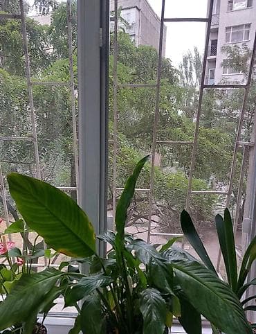 1 комната, 35 м², Восток-5 мкр 105 серия, 2 этаж — 9
