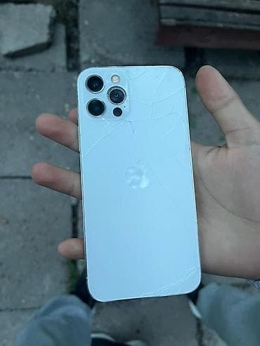 dota 2: IPhone 13 Pro, 256 ГБ, Серебристый, 100 % — 1