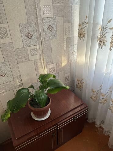 микрорайоны: 3 бөлмө, 60 кв. м, 105-серия, 1 кабат, Косметикалык ремонт — 9