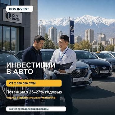 DOS INVEST — управление автоактивами под доход Что предлагаем - at lalafo.kg DOS INVEST — управление автоактивами под доход Что предлагаем -