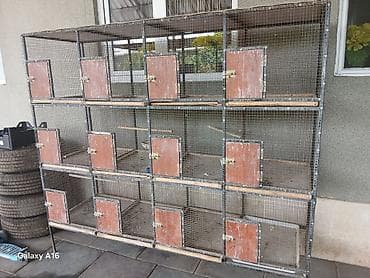 дакан ток: Клетка для попуган и птица размер 200×60 — 1