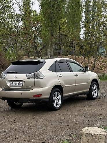 салон машины: Lexus RX: 2004 г. — 2