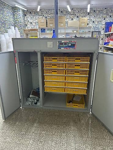 инкубаторы мини: Инкубатор 1056 яиц 2в1 полный автомат в наличии бар выводимость 85% — 9