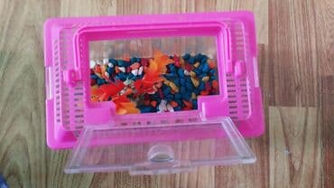 Грызуны: Продаю аквариум, с растением, кормом и с камнями, объем 1 литр, торг — 3