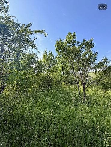 в селе маевка: 370 соток, Для строительства, Договор купли-продажи — 8