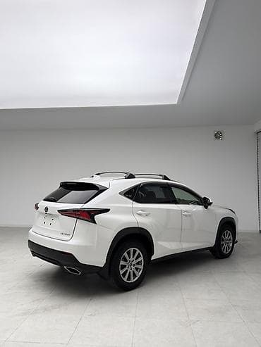 Lexus: Lexus NX: 2020 г., 2 л, Автомат, Бензин, Кроссовер — 9