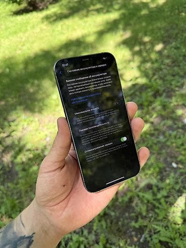 iphone xr 256: IPhone 12 Pro Max, Б/у, 128 ГБ, Синий, 72 % — 4
