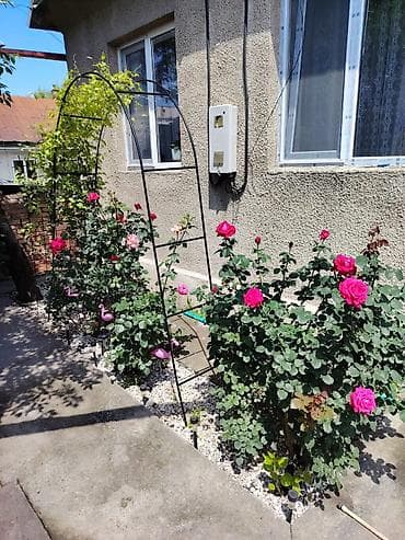 🏡 Продается дом с двумя домами на участке в селе Аламедин! Отличный lalafo.kg да 🏡 Продается дом с двумя домами на участке в селе Аламедин! Отличный