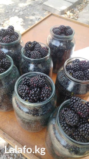 коне корсе: Продаю литровыми банками ежемалину — 2