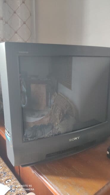экран для телевизора: TV Sony с пду — 1