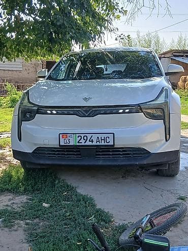 BAW: BAW : 2022 г., Автомат, Электромобиль, Кроссовер — 6