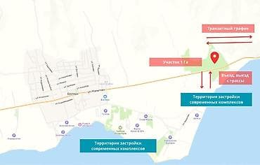 участок в балыкчы: 100 соток, Для бизнеса, Красная книга — 4