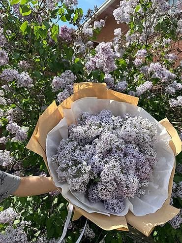 цвет: Сиреневые букеты в крафте ЗА ДЕШЕВУЮ ЦЕНУ 30 1000 - Пышные — 5