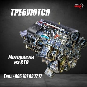 Требуется Автомеханик - Моторист, Процент от дохода, Более 5 лет опыта