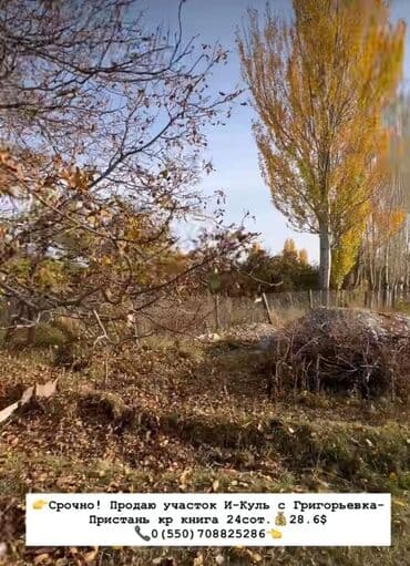 дом кудай берген: 24 соток, Для сельского хозяйства, Красная книга — 2