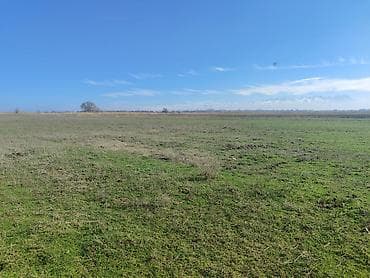 жер участак бишкек: 485 соток, Айыл чарба үчүн — 6