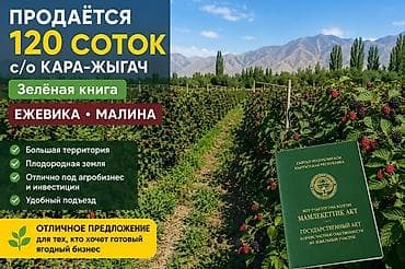 комната бишкек аренда: 120 соток, Для сельского хозяйства, Договор купли-продажи — 1