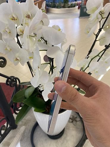 poco g4: IPhone 13, Б/у, 256 ГБ, White Titanium, Защитное стекло, Чехол, 80 % — 4