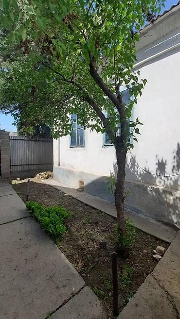 Кыймылсыз мүлк: Үй, 65 м², 4 бөлмө, Кыймылсыз мүлк агенттиги, Эски ремонт — 1