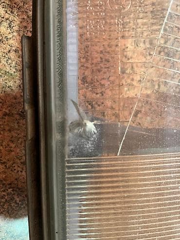 фара опель вектра б: Фары и внутренняя накладка салона (коричневая) Комплектация: - Пара — 9